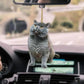 🐱 ميدالية قطة أنيقة لتعليقها على مرآة السيارة! 🚗